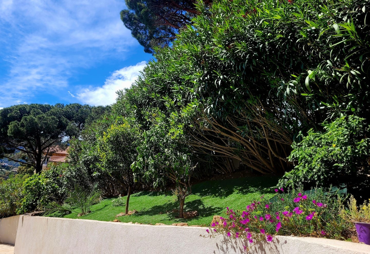 Parterre de fleurs à l'entrée
