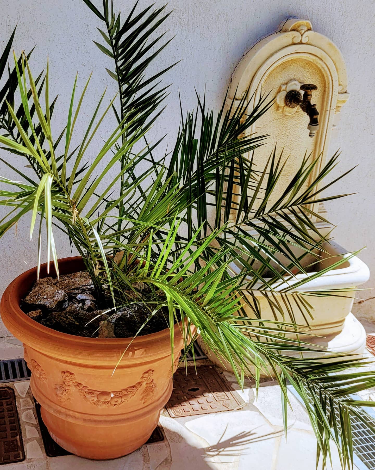 Petite fontaine à l'entrée