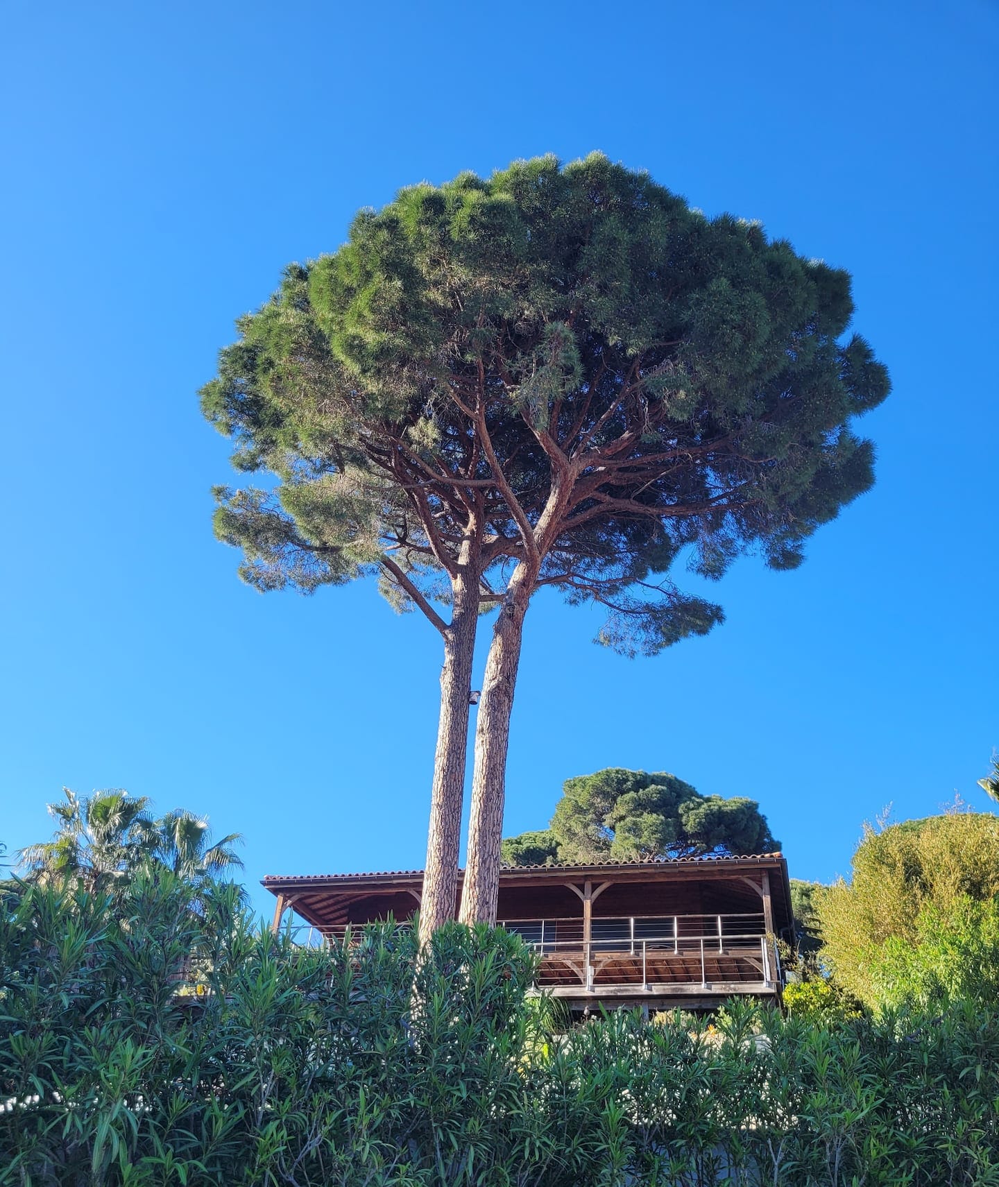 Villa voisine